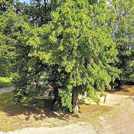 La Souveraine 3* Contrexeville